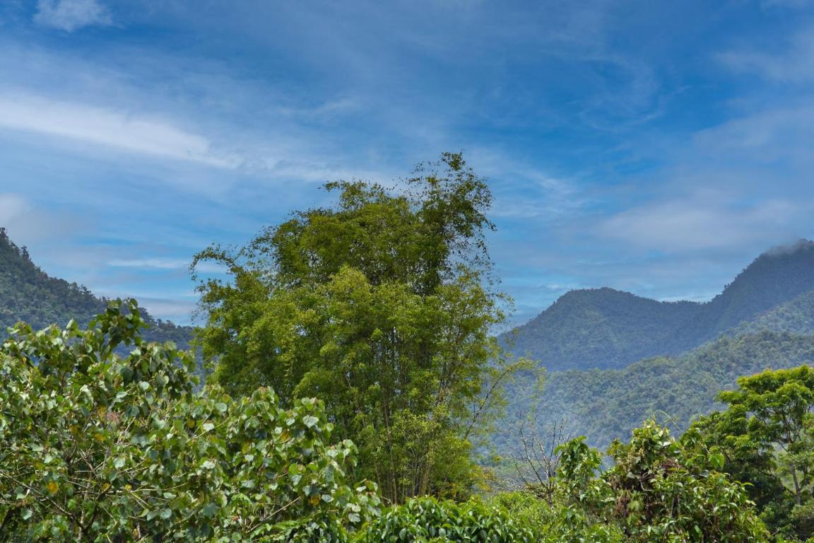 Mindo Green House ภายนอก รูปภาพ