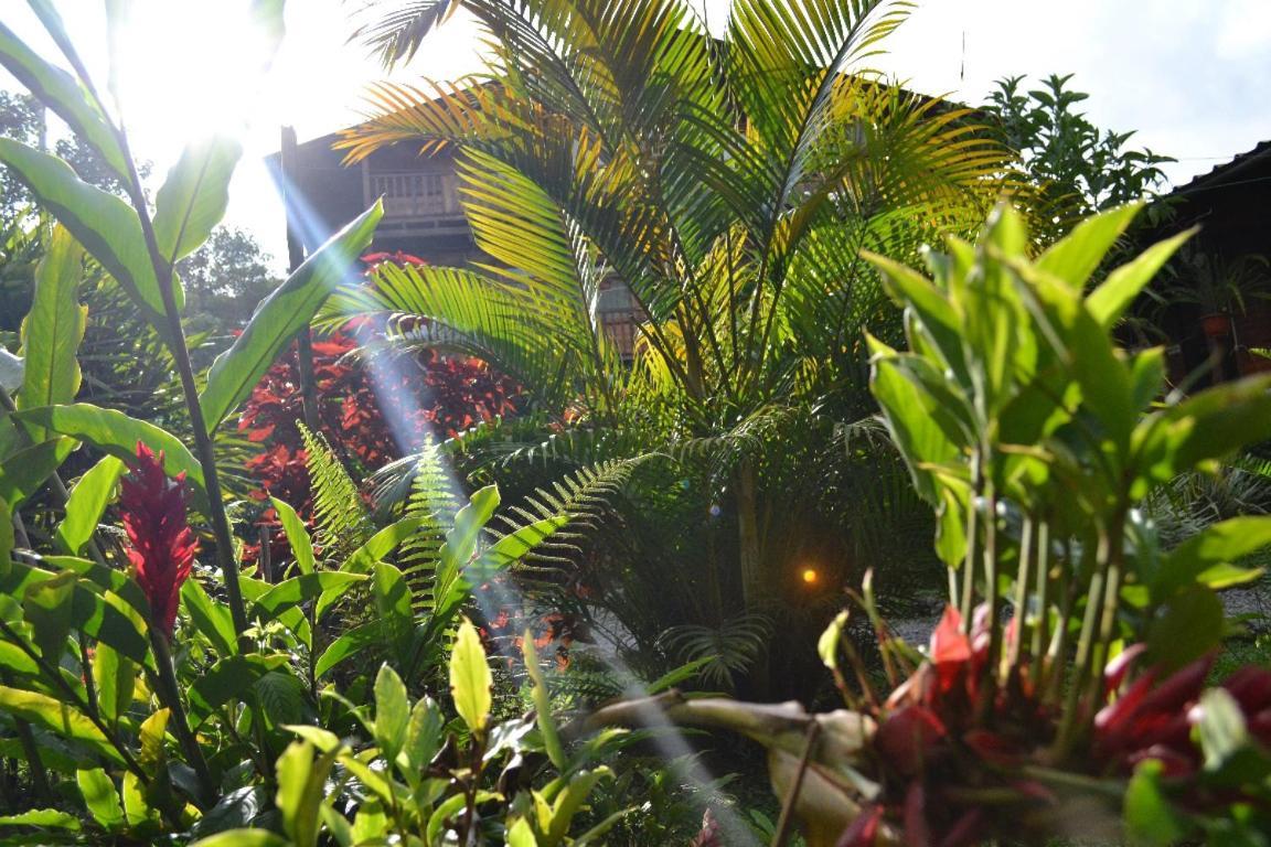 Mindo Green House ภายนอก รูปภาพ